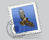 Scrivi una e-mail a Valeriano
